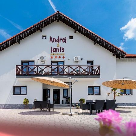 Agropensiunea Andrei & Ianis Daesti Bagian luar foto