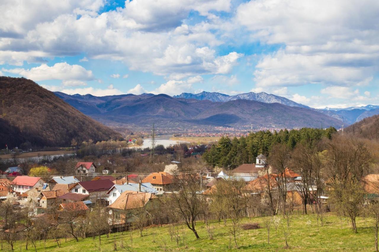Agropensiunea Andrei & Ianis Daesti Bagian luar foto