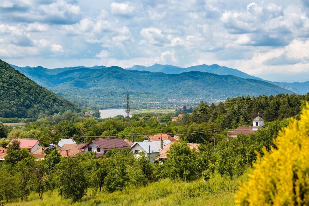 Agropensiunea Andrei & Ianis Daesti Bagian luar foto